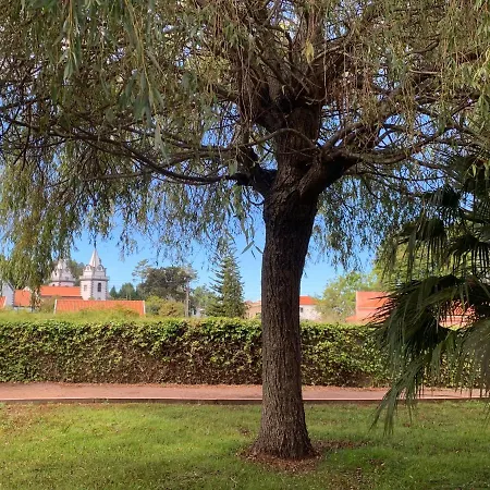 Casa De Cha