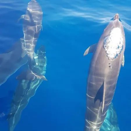 Casa De Cha Hostel *